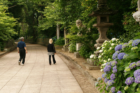 豊後高田　若宮八幡神社