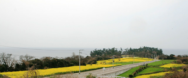 豊後高田　長崎鼻