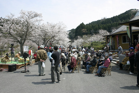 豊後高田　こっとん村さくら祭り