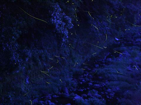 豊後高田　田染の荘