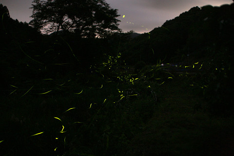 豊後高田　田染の荘