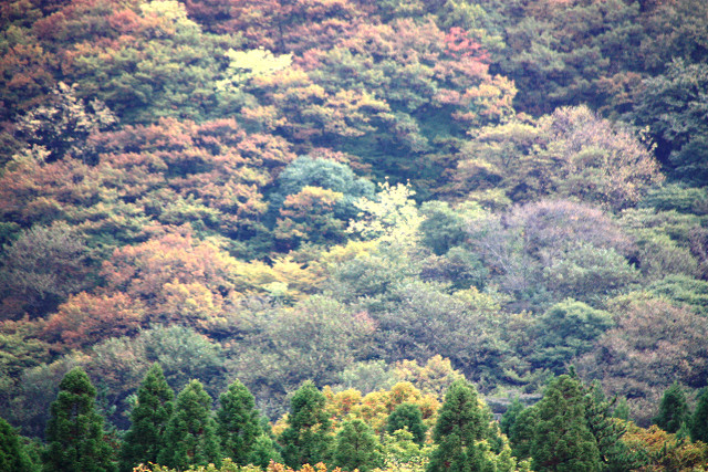 豊後高田　大分の秋