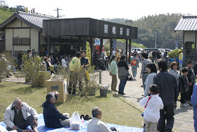 豊後高田　粟嶋公園花祭り