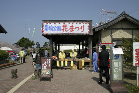 豊後高田　粟嶋公園花祭り