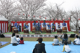 豊後高田　粟嶋公園花祭り