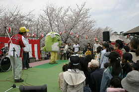 豊後高田　粟嶋公園花祭り