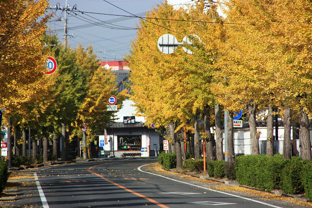 豊後高田 豊後高田