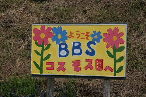 コスモス園